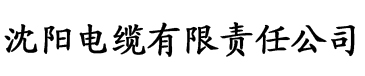 亚洲Av无码专区国产乱码京东传媒电缆厂logo